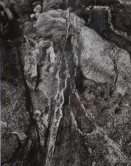 t19.jpg