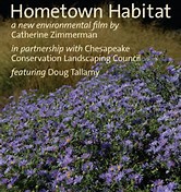 Image result for film Hometown Habitat